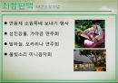 제15회 하동 야생차문화축제 분석&평가 - 함께하는 그린, 풍경이 있는 문학 (야생차 문화축제 개최배경, 하동 야생차문화축제 기획, 하동 야생차문화축제 프로그램 기획).pptx 28페이지