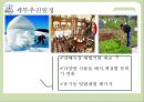 [사업, 창업 계획서] 호텔창업(자연친화적 컨셉) 창업계획서 - Let’s Go ECOTEL (에코텔).pptx 25페이지