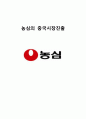 농심 중국진출 국제마케팅 전략분석과 농심 새로운 마케팅전략제안 1페이지