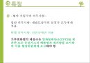  기후변화 영향- 환경협약 61페이지