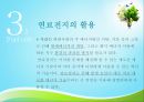 연료전지 (연료전지 정의, 종류, 생활화, 활용 사례, 자동차).pptx 23페이지