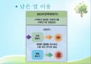 연료전지 (연료전지 정의, 종류, 생활화, 활용 사례, 자동차).pptx 72페이지