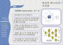 미래의 에너지와 환경 - 원자력 에너지의 이로움.pptx 4페이지