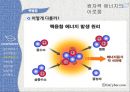 미래의 에너지와 환경 - 원자력 에너지의 이로움.pptx 21페이지
