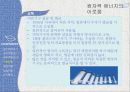 미래의 에너지와 환경 - 원자력 에너지의 이로움.pptx 32페이지