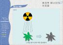 미래의 에너지와 환경 - 원자력 에너지의 이로움.pptx 46페이지