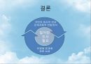 인천국제공항의 민영화 (공기업 및 공항의 민영화, 공항 민영화 사례, BAA(영국공항공단), 인천국제공항의 민영화 문제).PPT자료 19페이지