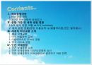 세계의 허브공항과 인천공항 (허브공항 정의 , 성립요건, 공항 기준 및 세계 공항 현황, 홍콩 국제공항, 미국 아틀란타 공항, 아랍에미리트 두바이 공항, 영국 히드로 공항, 인천 국제공항).PPT자료 2페이지