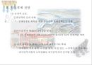 인도경제의3대정책딜레마,인도경제전망,인도경제전망,금융정책딜레마,환율정책딜레마,재정정책딜레마 9페이지