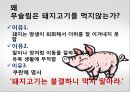 이슬람교소개-성립배경,특징,문화,종교단쳬레포트 19페이지