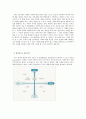 착한소비 (착한소비와 착한소비자의 의미, 기준, 실천방안, 착한소비자의 특성, 비판적 시각, 마케팅 방식의 문제점) 5페이지