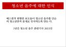 청소년음주현황 및 예방사례, 음주문화, 사회문제, 청소년문제 - 음주의 현황, 접근, 인식, 원인, 대안방향 10페이지