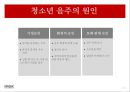 청소년음주현황 및 예방사례, 음주문화, 사회문제, 청소년문제 - 음주의 현황, 접근, 인식, 원인, 대안방향 11페이지