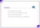 청소년환경, 사이버공간, 사이버문화,온라인문화, 2페이지