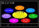 청소년비행, 청소년비행현황, 청소년비행특징, 청소년비행원인,청소년비행해결방안,청소년비행대책,청소년비행해결책,청소년비행종류,비행청소년 3페이지