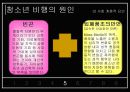 청소년비행, 청소년비행현황, 청소년비행특징, 청소년비행원인,청소년비행해결방안,청소년비행대책,청소년비행해결책,청소년비행종류,비행청소년 13페이지