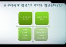 청년문화 (1990년 이전의 청년문화 특징, 1990년 이후의 청년문화 특징, 문제점, 우리시대 청년으로 바라본 청년문화).PPT자료 9페이지