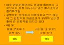 컬러의 시대 - 컬러소비와 컬러마케팅 (연구동기, 컬러소비의 등장배경과 특징, 영향력과 사례들, 설문내용, 분석).PPT자료 3페이지