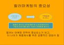 컬러의 시대 - 컬러소비와 컬러마케팅 (연구동기, 컬러소비의 등장배경과 특징, 영향력과 사례들, 설문내용, 분석).PPT자료 7페이지