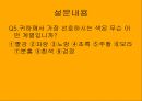 컬러의 시대 - 컬러소비와 컬러마케팅 (연구동기, 컬러소비의 등장배경과 특징, 영향력과 사례들, 설문내용, 분석).PPT자료 12페이지