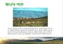 케냐국가분석,케냐마케팅전략,케냐사업계획 5페이지