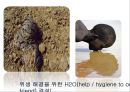 케냐아이들,수질오염,인권문제,세계화가족,브랜드마케팅,서비스마케팅,글로벌경영,사례분석,swot,stp,4p 16페이지