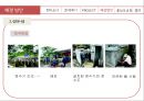 케냐아이들,수질오염,인권문제,세계화가족,브랜드마케팅,서비스마케팅,글로벌경영,사례분석,swot,stp,4p 27페이지
