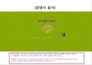 캐쉬밴질랜드,명품화전략,명품가방,마케팅,브랜드,브랜드마케팅,기업,서비스마케팅,글로벌,경영,시장,사례,swot,stp,4p 24페이지