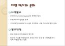 티벳의 역사와 문화,브랜드마케팅,서비스마케팅,글로벌경영,사례분석,swot,stp,4p 4페이지