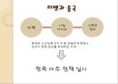 티벳의 역사와 문화,브랜드마케팅,서비스마케팅,글로벌경영,사례분석,swot,stp,4p 7페이지