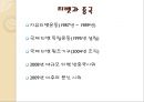 티벳의 역사와 문화,브랜드마케팅,서비스마케팅,글로벌경영,사례분석,swot,stp,4p 11페이지