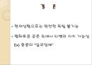 티벳의 역사와 문화,브랜드마케팅,서비스마케팅,글로벌경영,사례분석,swot,stp,4p 15페이지