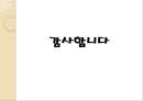 티벳의 역사와 문화,브랜드마케팅,서비스마케팅,글로벌경영,사례분석,swot,stp,4p 17페이지