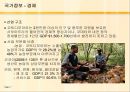 코트디부아르국가분석,코트디부아르마케팅전략,코트디부아르사업계획 7페이지