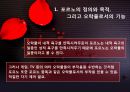 포르노는 오락물이다 (포르노의 정의와 목적, 오락물로서의 기능, 포르노와 성범죄 사이의 상관관계, 쟁점).PPT자료 3페이지