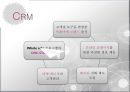 하나투어CRM, CRM사례, CRM기업,하나투어마케팅,하나투어전략,하나투어분석,여행사마케팅,여행사분석 8페이지