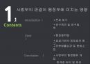 한국정부론_사법부판경영향,판례,행정부의영향 2페이지