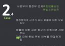 한국정부론_사법부판경영향,판례,행정부의영향 13페이지