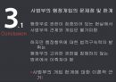 한국정부론_사법부판경영향,판례,행정부의영향 15페이지