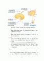 뇌경색 case study [의약학]  5페이지