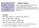 호흡기질환, 폐결핵, 폐결핵 병태생리, 간호진단 및 간호중재 5페이지