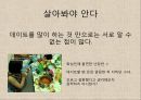 혼전동거,이혼율급증,사회문제,사회이슈 16페이지