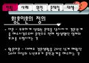 황혼이혼문제_사회문제 2페이지