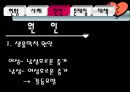 황혼이혼문제_사회문제 8페이지