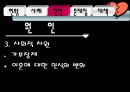 황혼이혼문제_사회문제 10페이지