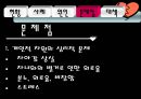 황혼이혼문제_사회문제 11페이지