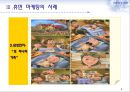 휴먼마케팅,휴먼마케팅전략,휴먼마케팅사례및분석,Human Marketing 6페이지