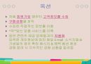 CRM,CRM정의,CRM기능,CRM도입효과,CRM사례,CRM이란 11페이지