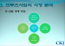 CKJ크루즈,마케팅,브랜드,브랜드마케팅,기업,서비스마케팅,글로벌,경영,시장,사례,swot,stp,4p 9페이지
