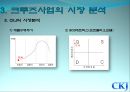 CKJ크루즈,마케팅,브랜드,브랜드마케팅,기업,서비스마케팅,글로벌,경영,시장,사례,swot,stp,4p 14페이지
